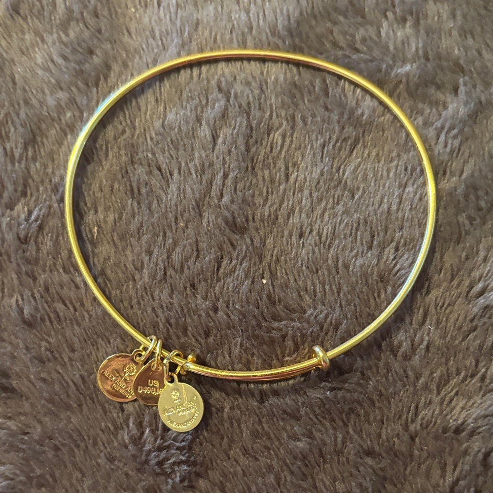 Alex and Ani Gold Charm Bracelet